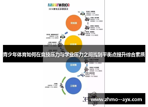 青少年体育如何在竞技压力与学业压力之间找到平衡点提升综合素质