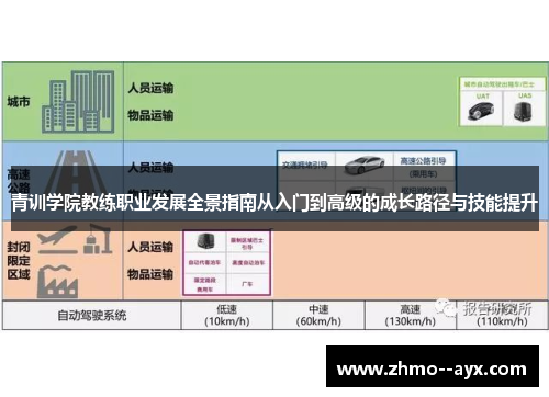 青训学院教练职业发展全景指南从入门到高级的成长路径与技能提升