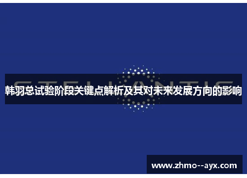 韩羽总试验阶段关键点解析及其对未来发展方向的影响