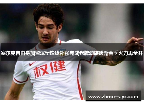 塞尔克自由身加盟汉堡锋线补强完成老牌劲旅盼新赛季火力再全开