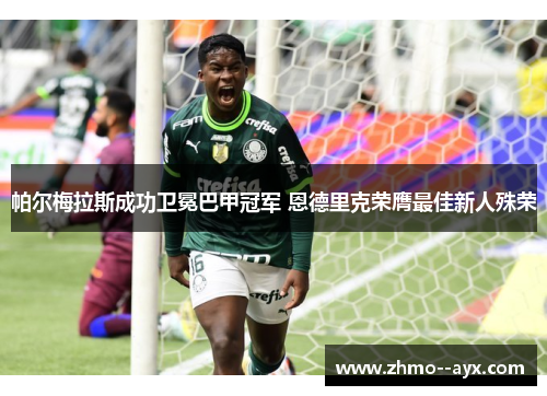 帕尔梅拉斯成功卫冕巴甲冠军 恩德里克荣膺最佳新人殊荣