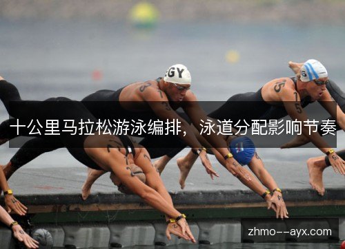 十公里马拉松游泳编排，泳道分配影响节奏